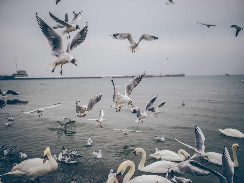 accessibility screenshot 5